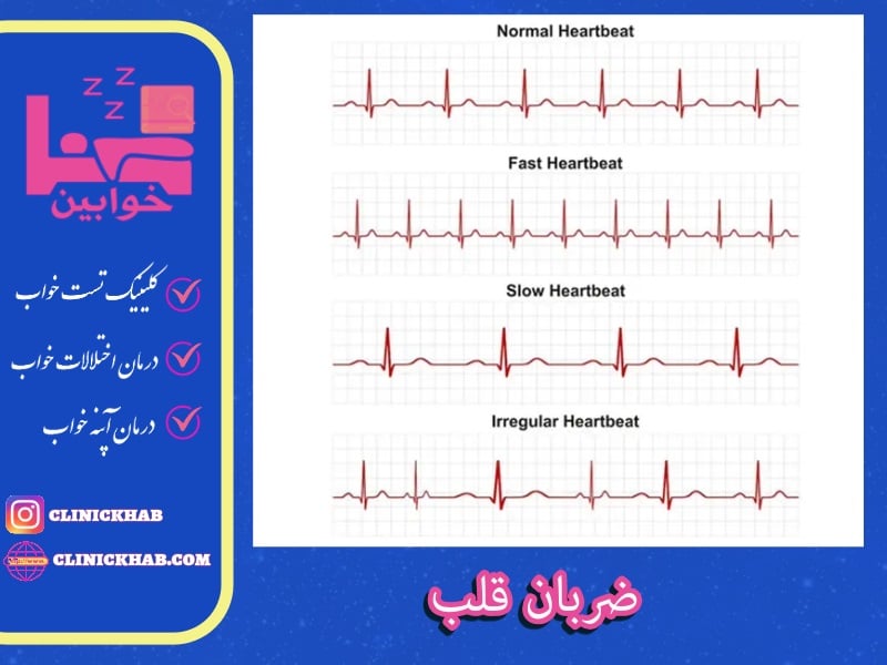 ضربان قلب